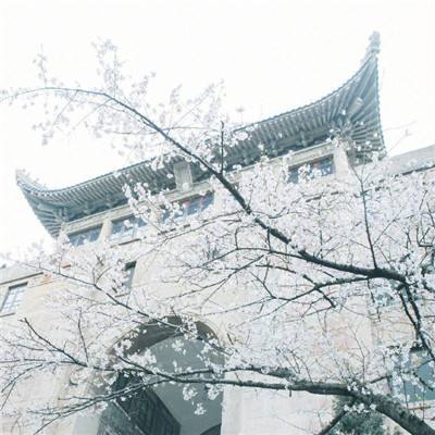 应急管理部针对皖豫鄂启动低温雨雪冰冻灾害四级应急响应
